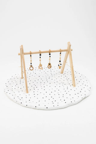 Play Gym Set