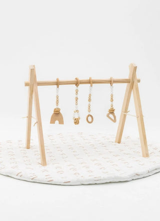 Play Gym Set