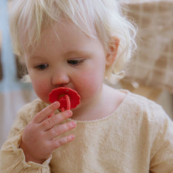 Image of FRIGG Silicone Pacifier 4-Pack