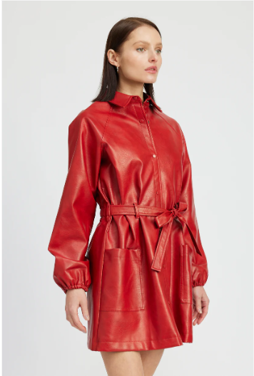 Image of Bonrieux Mini Dress