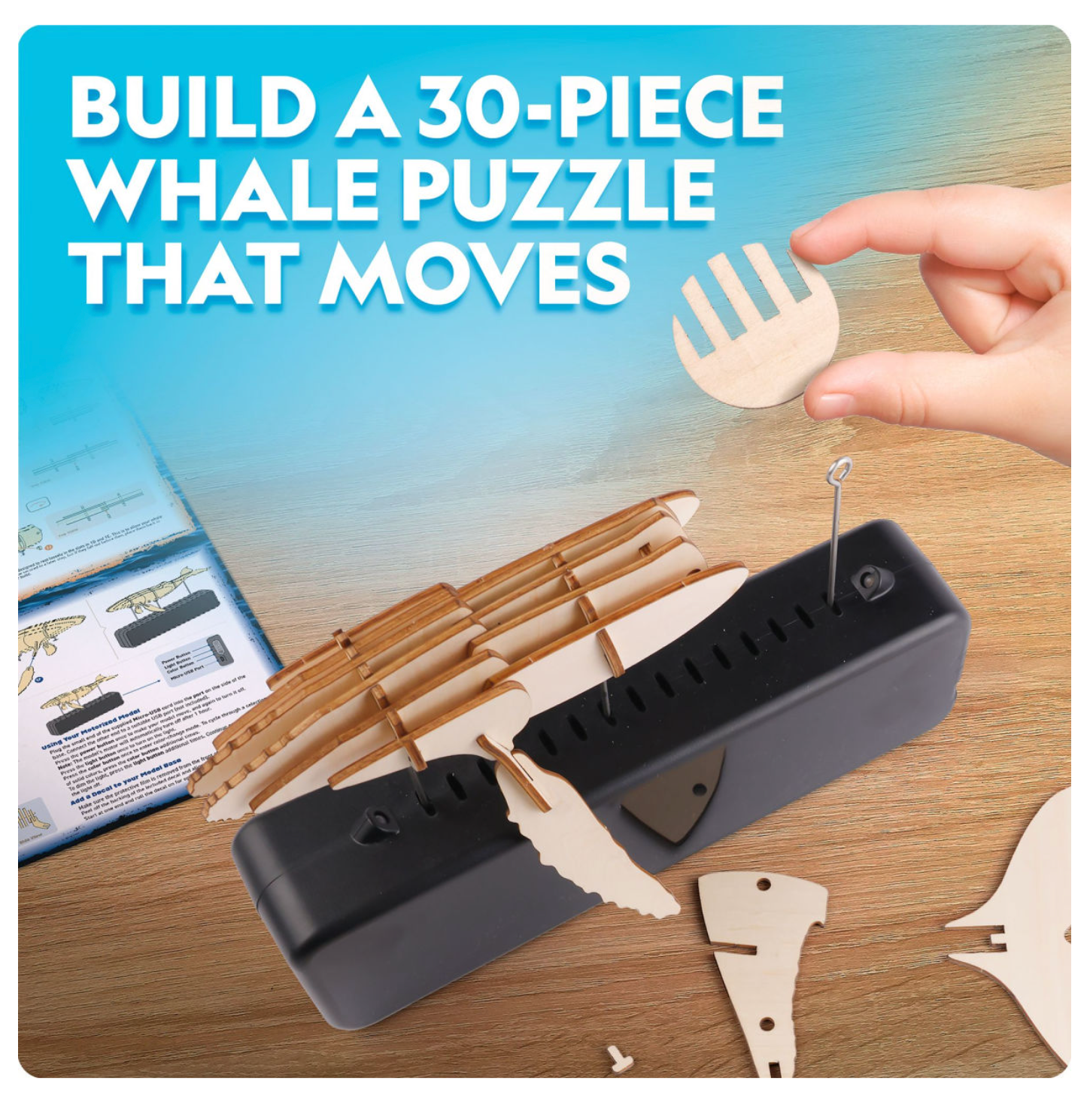 Image of Motorized Whale Model