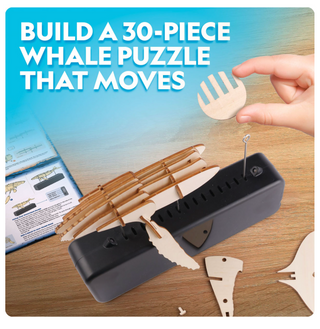 Motorized Whale Model