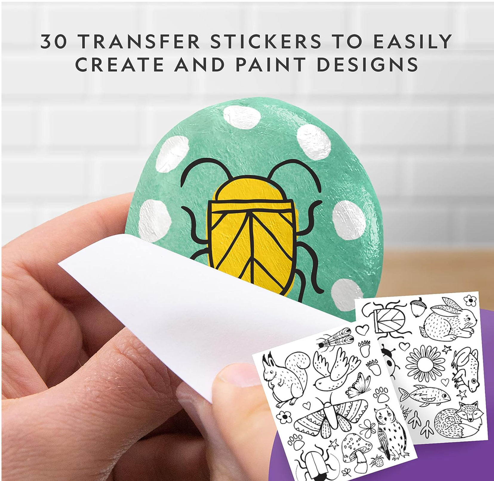 Image of Rock Painting Activity Kit