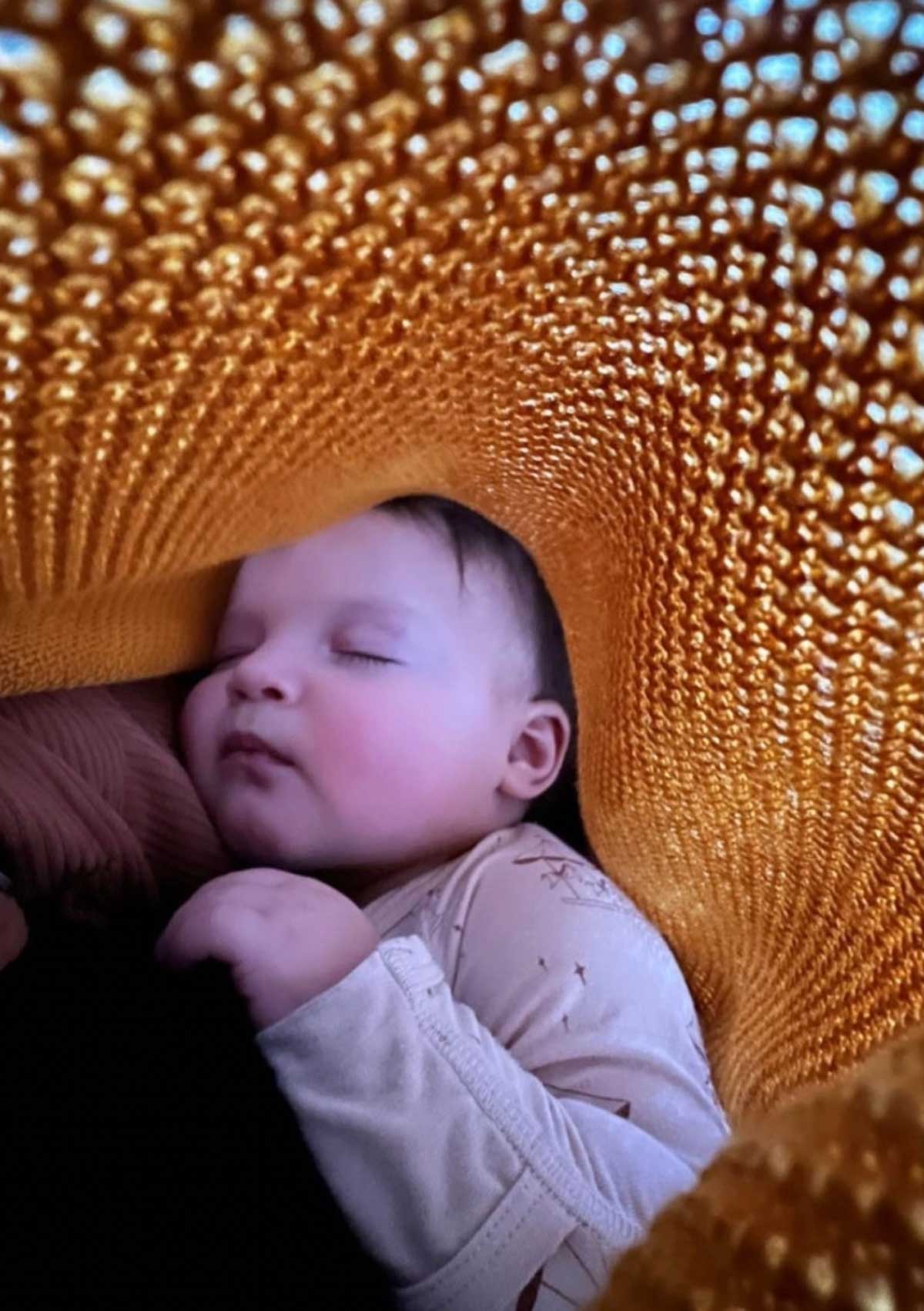 Image of Honey Cocoon+