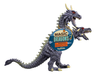Magic Dragon
