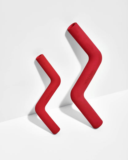Wild One - Bolt Bite Dog Chew Toy