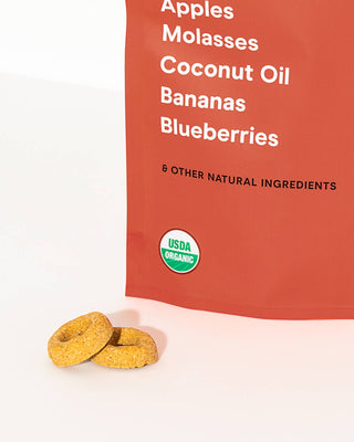 Wild One - Organic Fruit Salad Vegan Baked Dog Treats