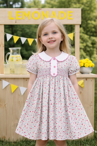 Marco and Lizzy -  AnnaLynn Smocked Girls Dress