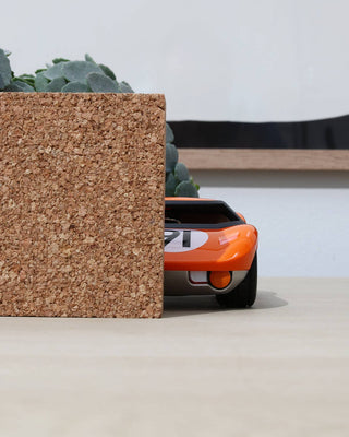 Play Forever Car Ken