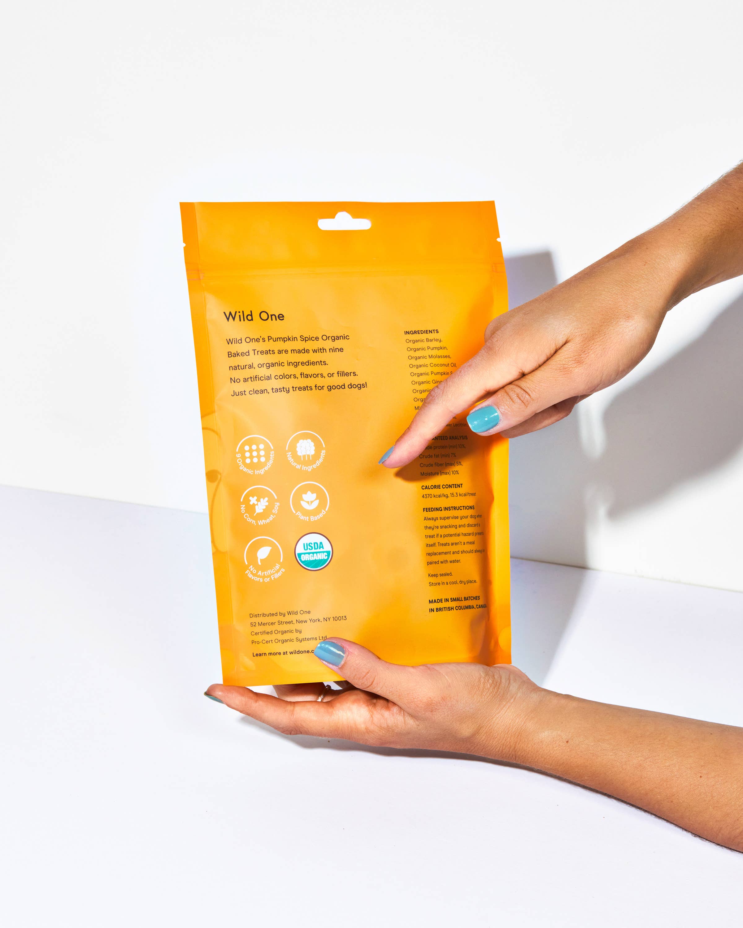 Image of Wild One - Organic Pumpkin Spice Vegan Baked Dog Treats