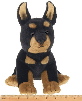 Thor  the Doberman