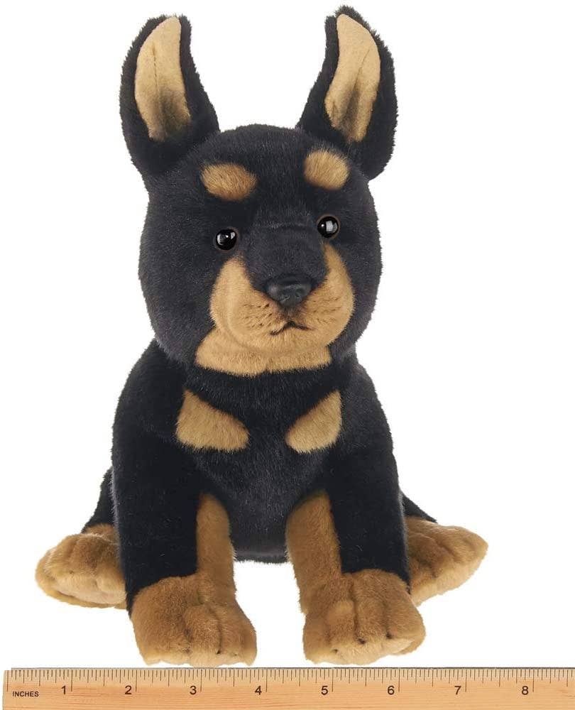 Thor  the Doberman