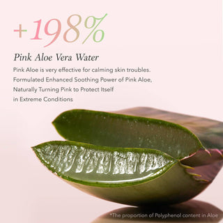 Aloe Pack Face Cleanser