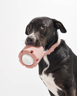 Wild One - Tennis Tumble Interactive Dog Toy