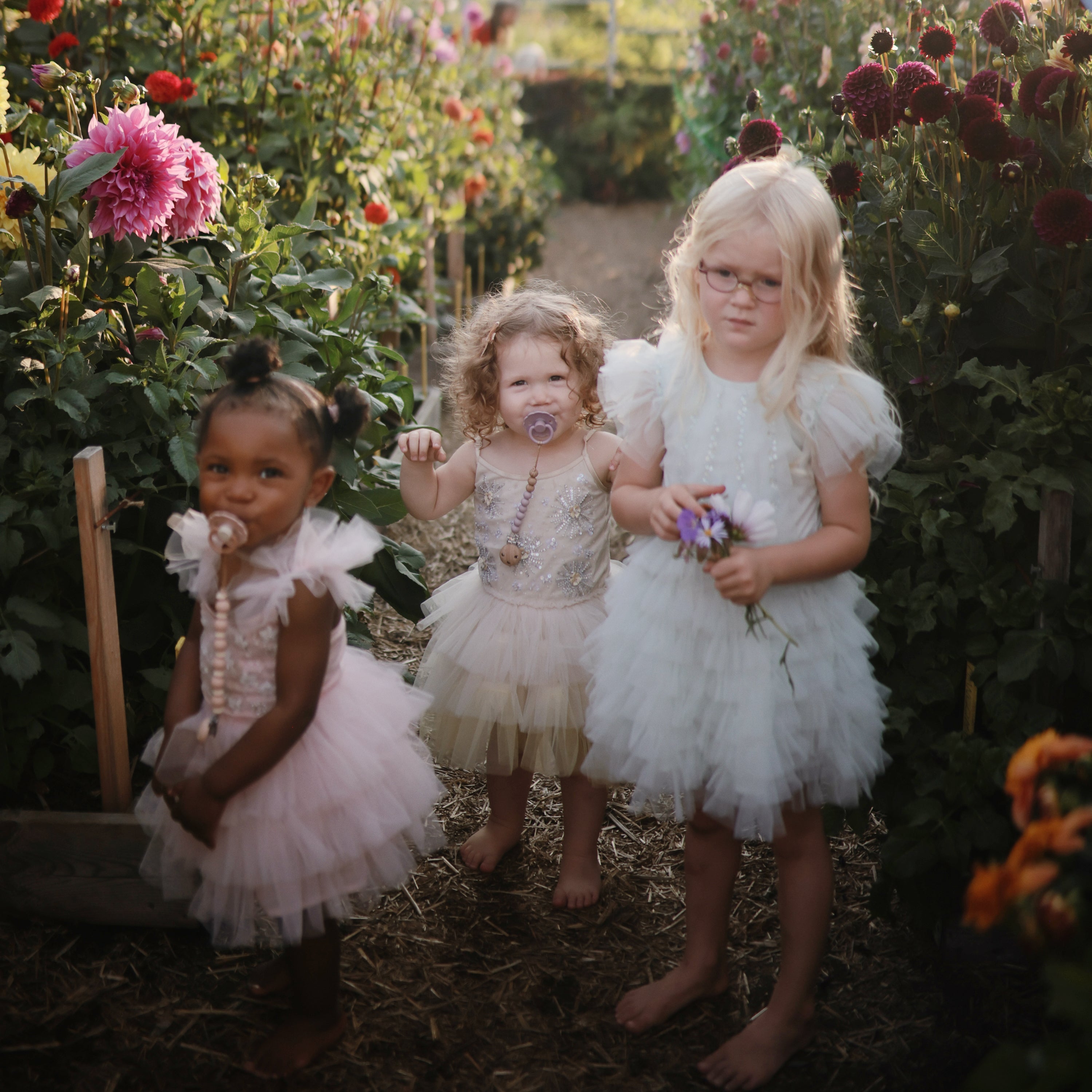 Image of FRIGG Daisy Silicone Pacifier 2-Pack