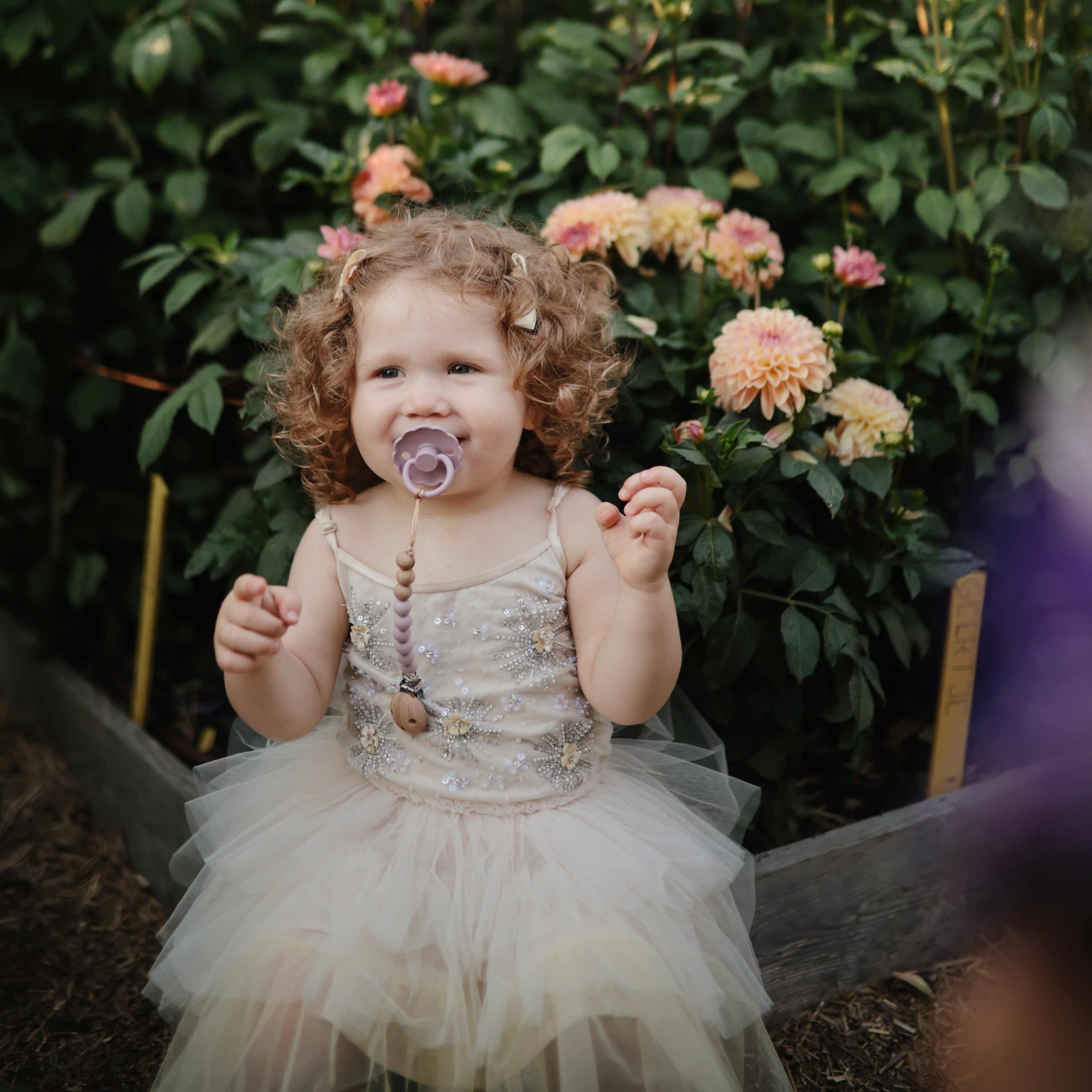 Image of Silicone Pacifier Clip | Eva