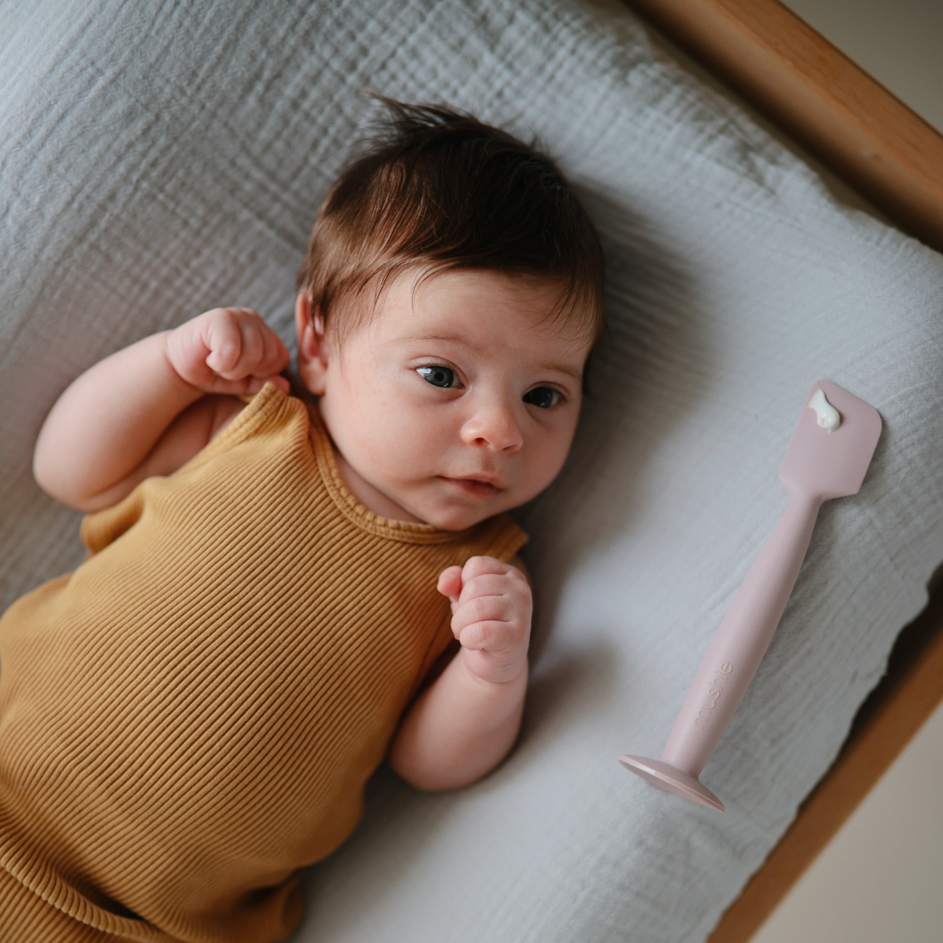 Image of Diaper Cream Applicator