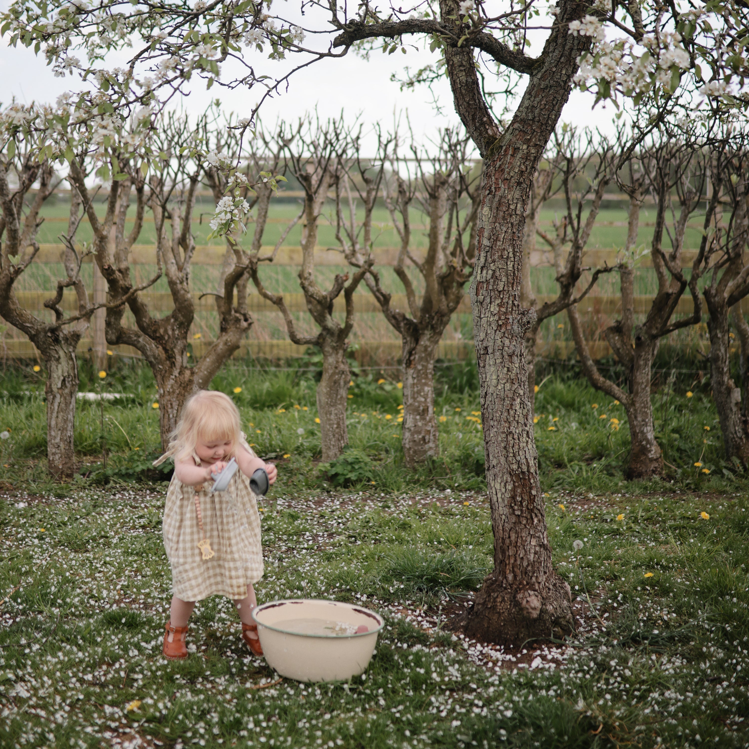 Image of FRIGG Butterfly Anatomical Silicone Pacifier 2-Pack (6-18 Months)