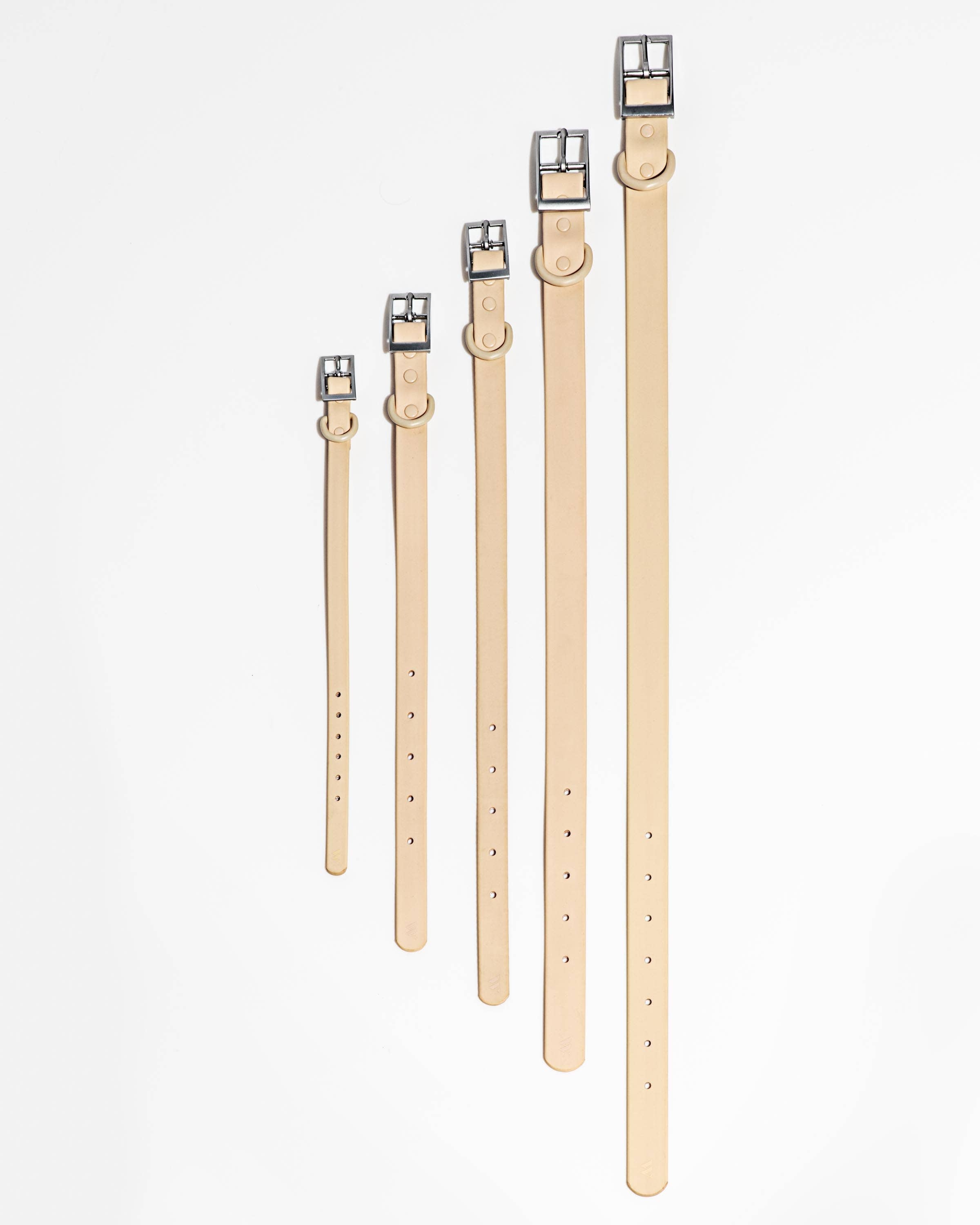 Image of Wild One - Adjustable Waterproof Fashion Dog Collar