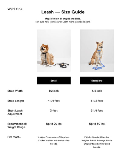 Wild One - Adjustable Waterproof Dog Leash