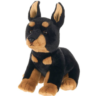 Thor  the Doberman
