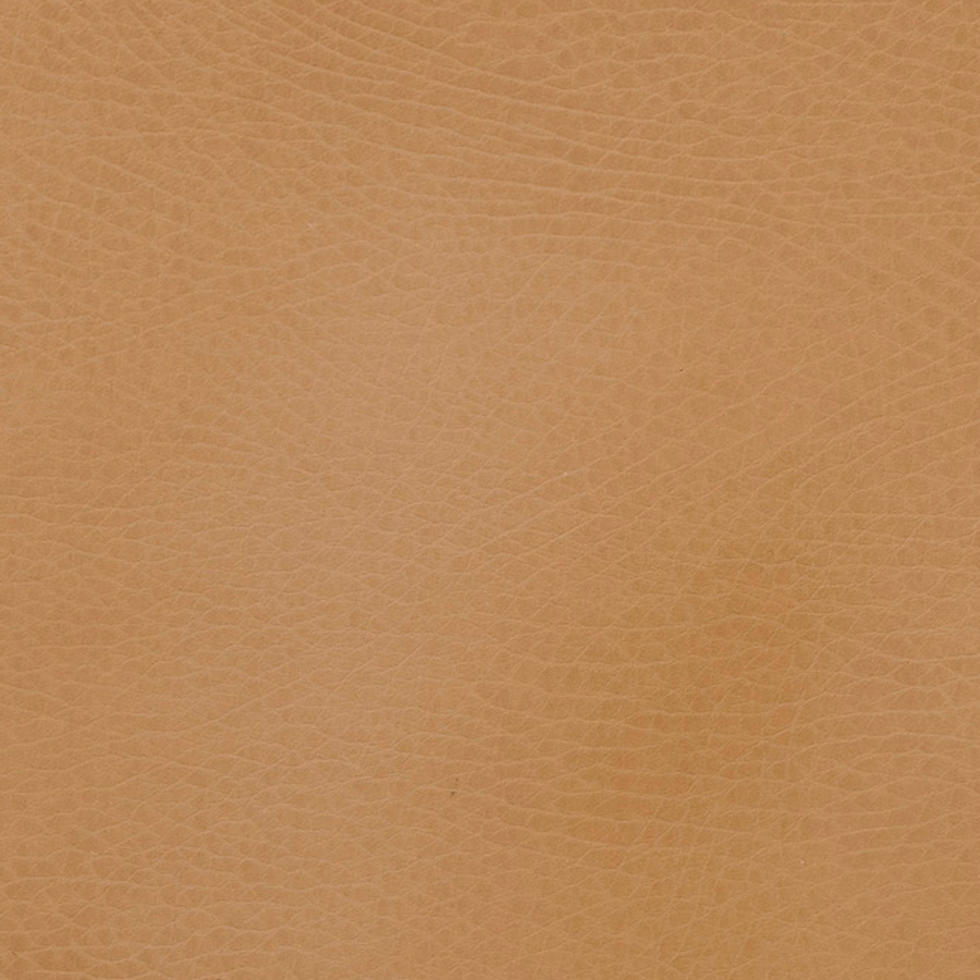 Image of Wholesale Small Caddy