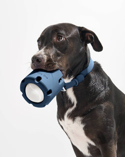 Image of Wild One - Tennis Tumble Interactive Dog Toy