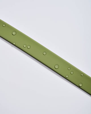 Wild One - Adjustable Waterproof Fashion Dog Collar