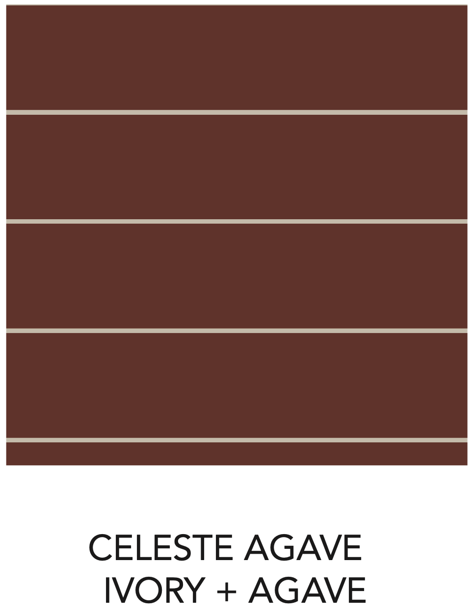 Image of Colored Organics - Doyle Long Sleeve Collared Top