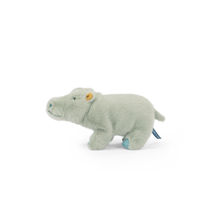 Small Hippopotamus