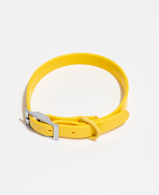 Wild One - Adjustable Waterproof Fashion Dog Collar