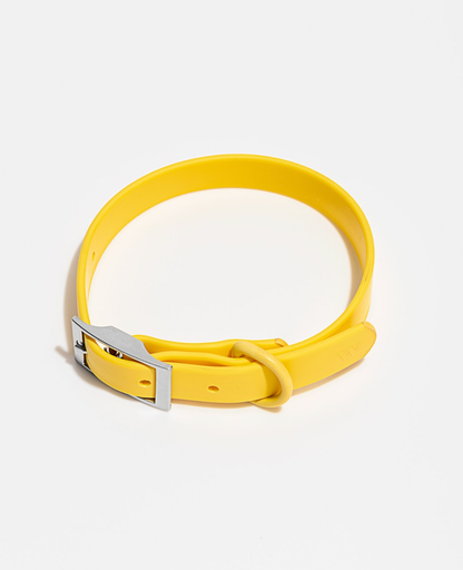 Wild One - Adjustable Waterproof Fashion Dog Collar