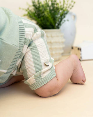 Viverano Organics - Palm Trees Embroidered Baby Shirt & Shorts Set (Organic)