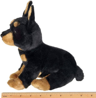 Thor  the Doberman