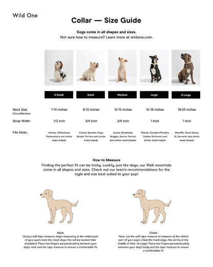 Wild One - Adjustable Waterproof Fashion Dog Collar