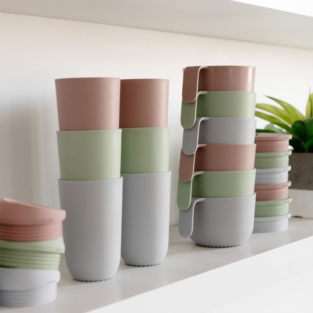 Image of Mealtime Plates