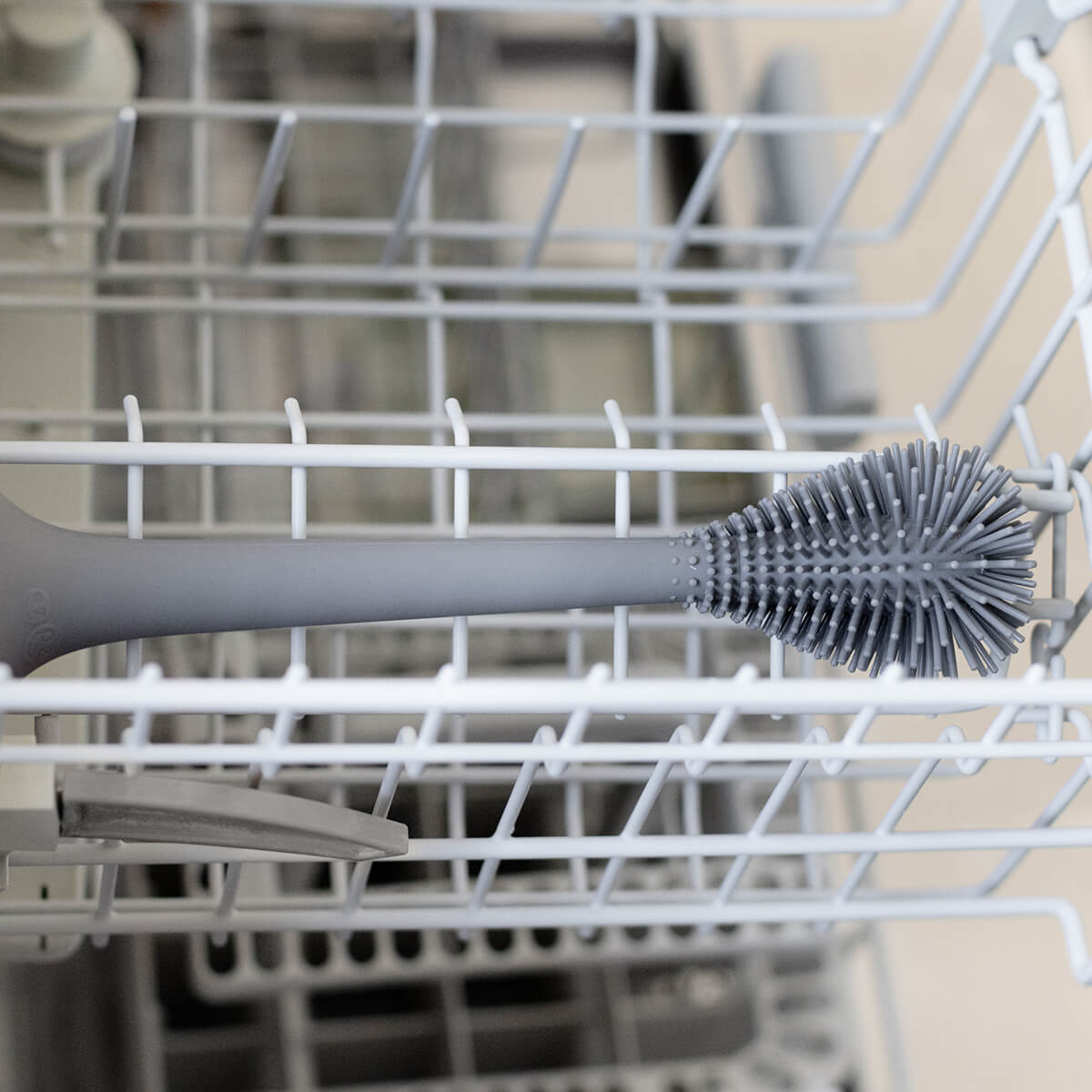 Image of Bottle Brush