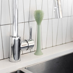 Image of Bottle Brush