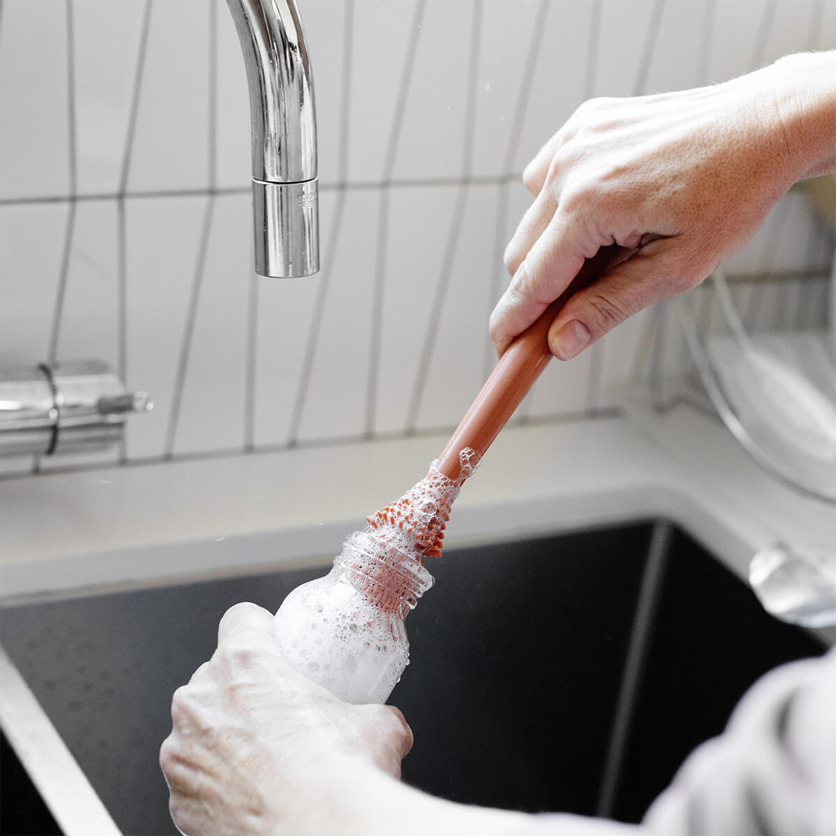 Image of Bottle Brush