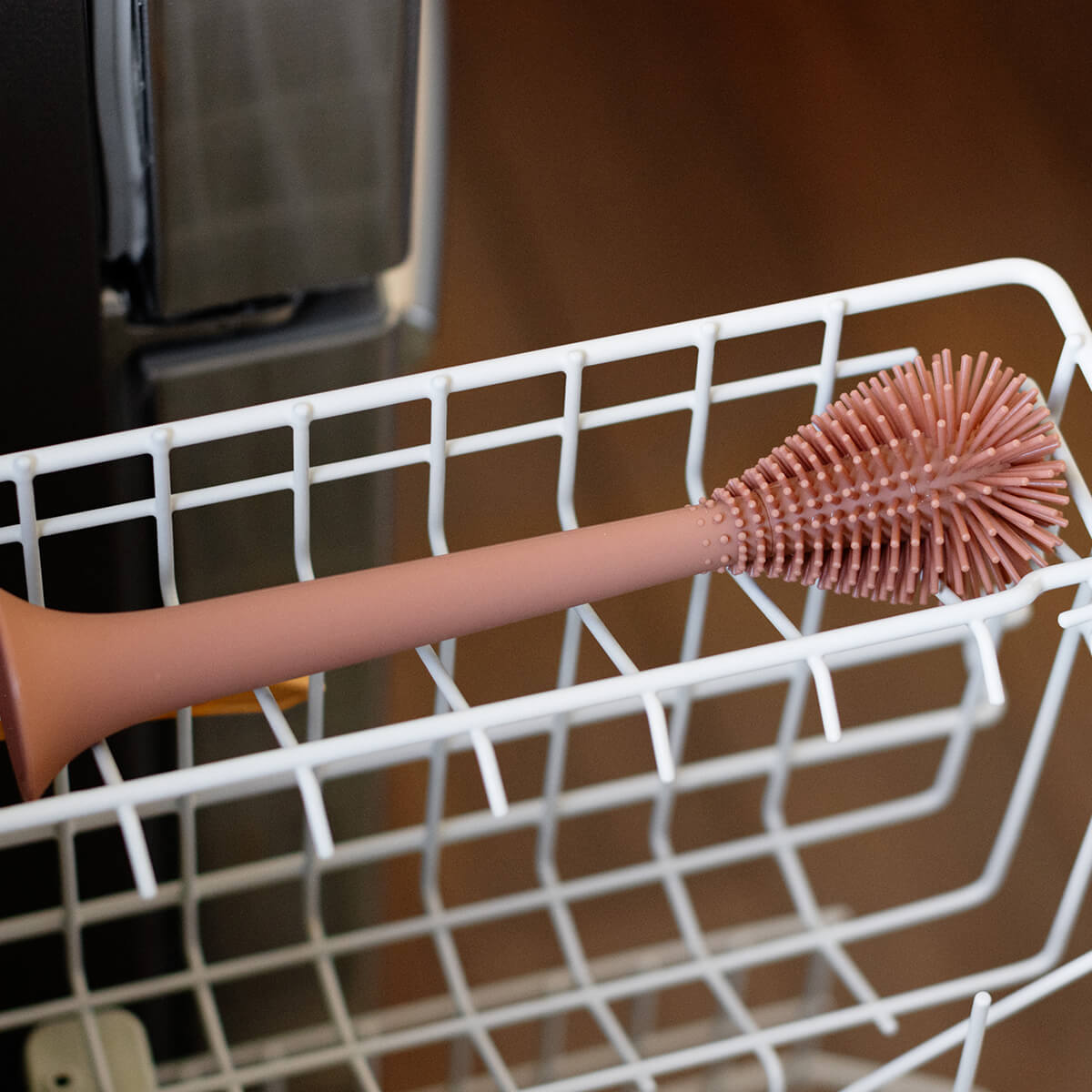 Image of Bottle Brush