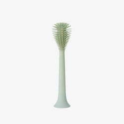 Image of Bottle Brush