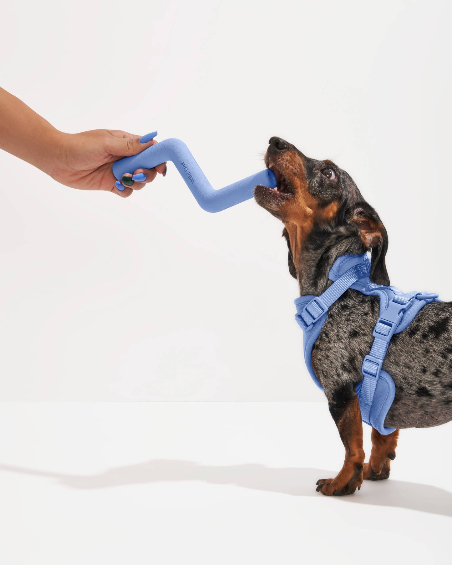 Wild One - Bolt Bite Dog Chew Toy