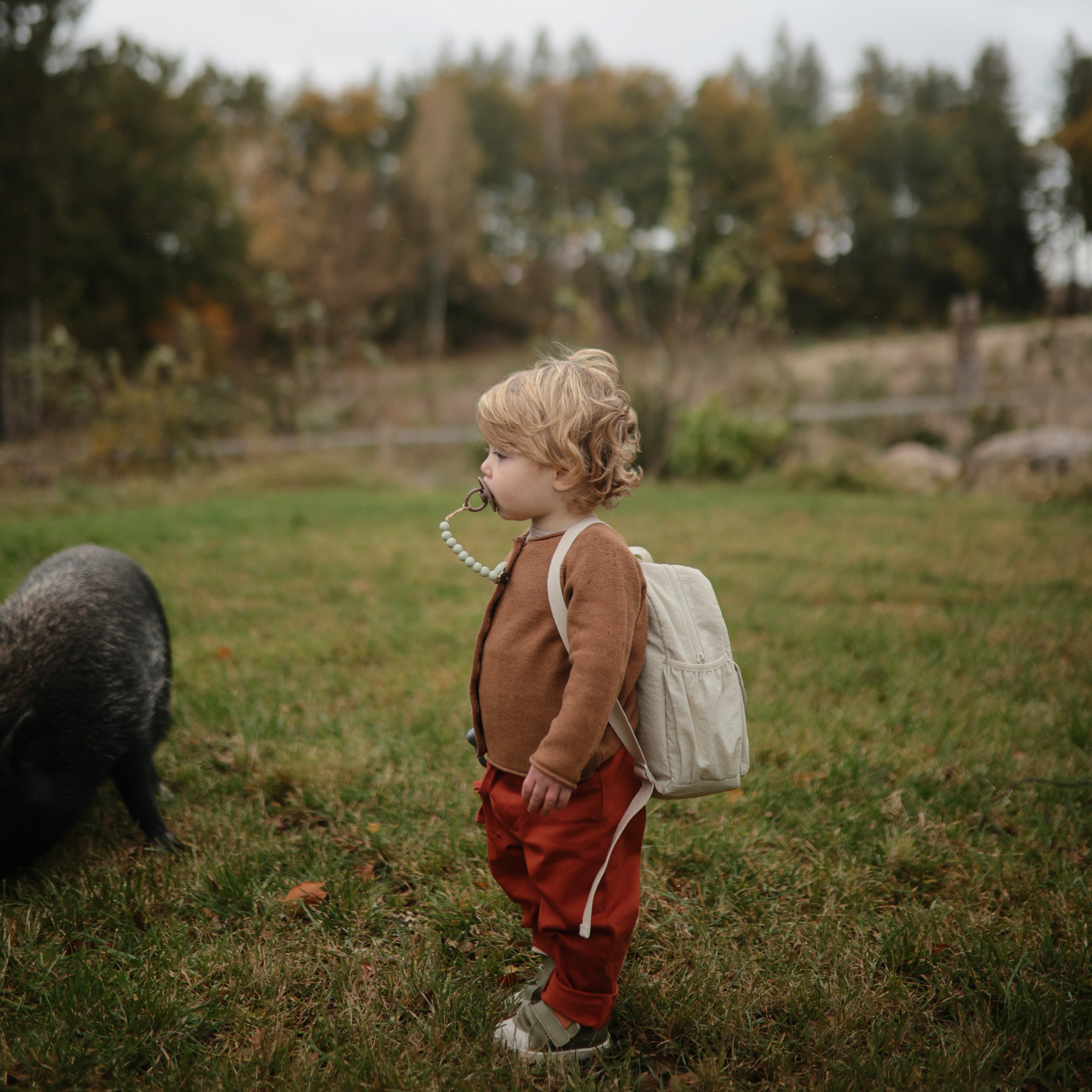 Image of FRIGG Rope Natural Rubber Pacifier 2-Pack