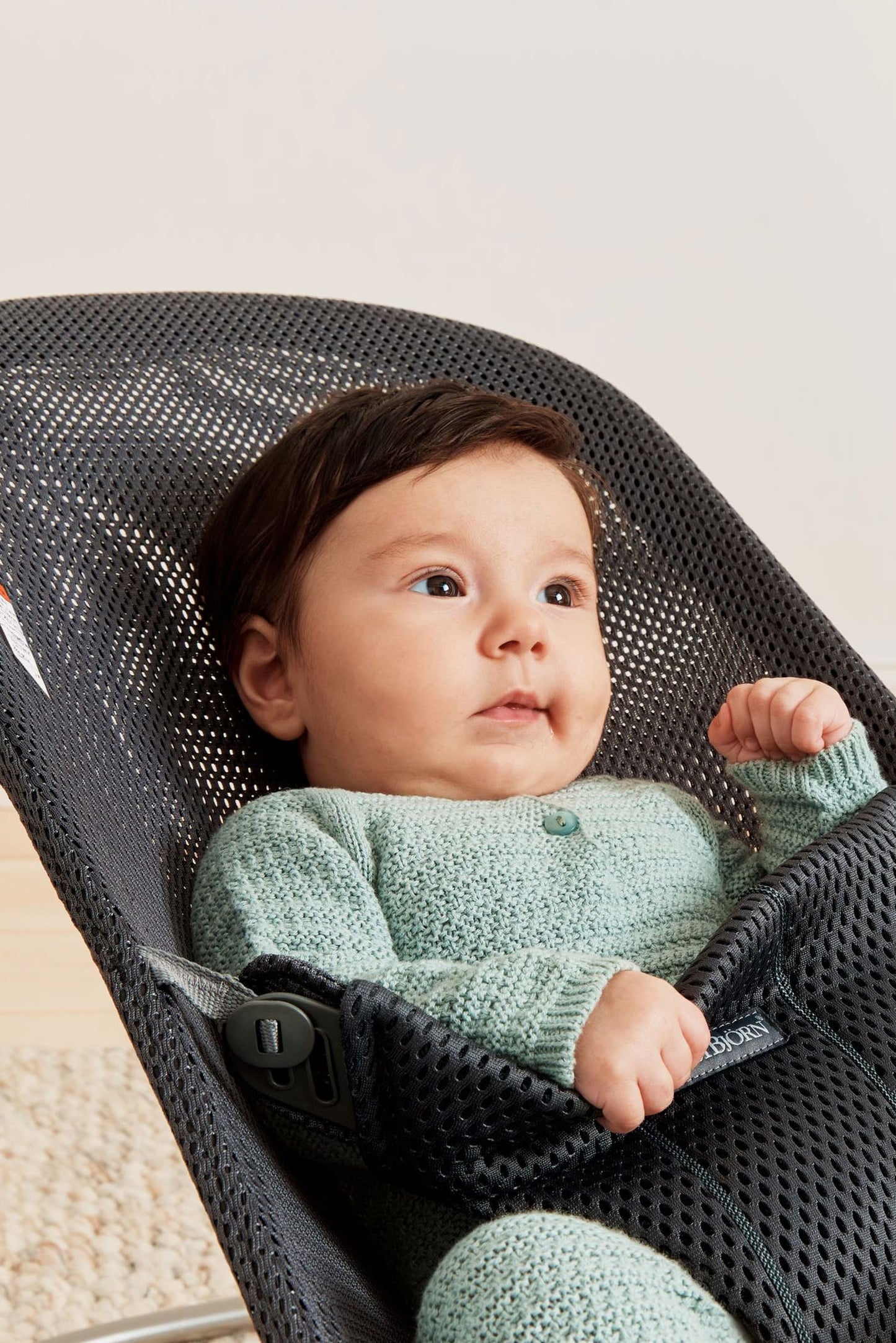 Baby Bjorn Bouncer Bliss