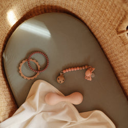 Image of Silicone Pacifier Clip | Eva