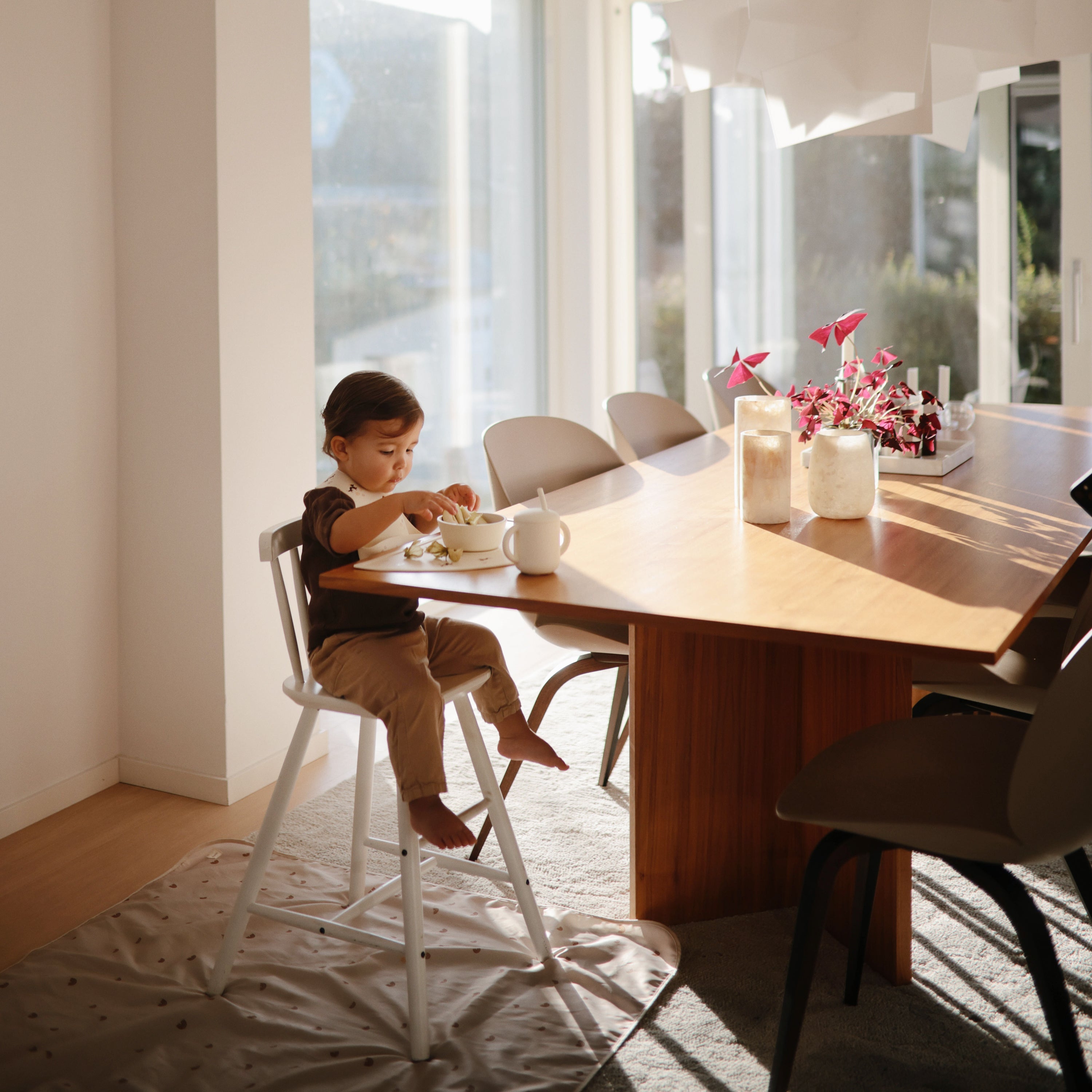 Image of Silicone Suction Bowl