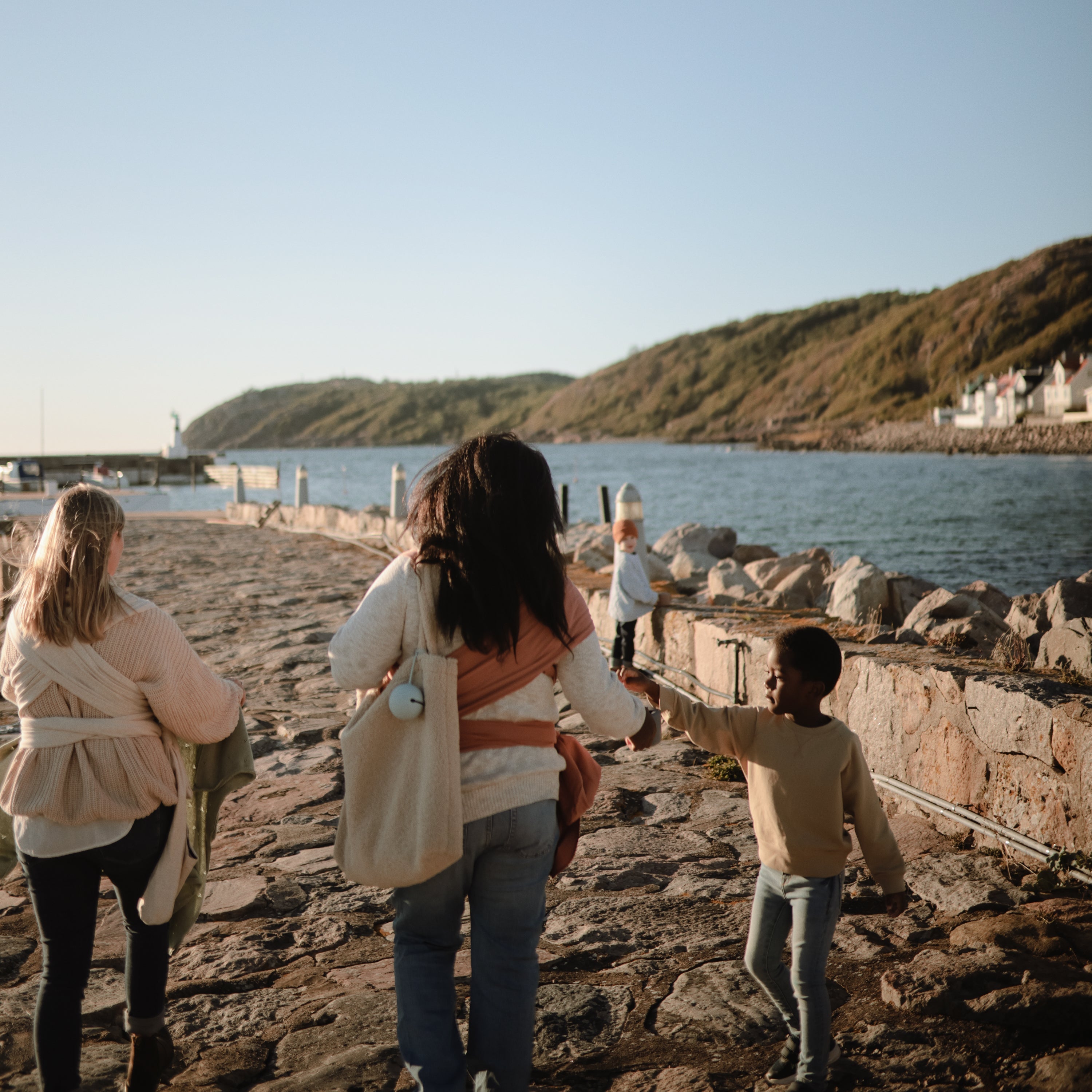 Image of Silicone Pacifier Case