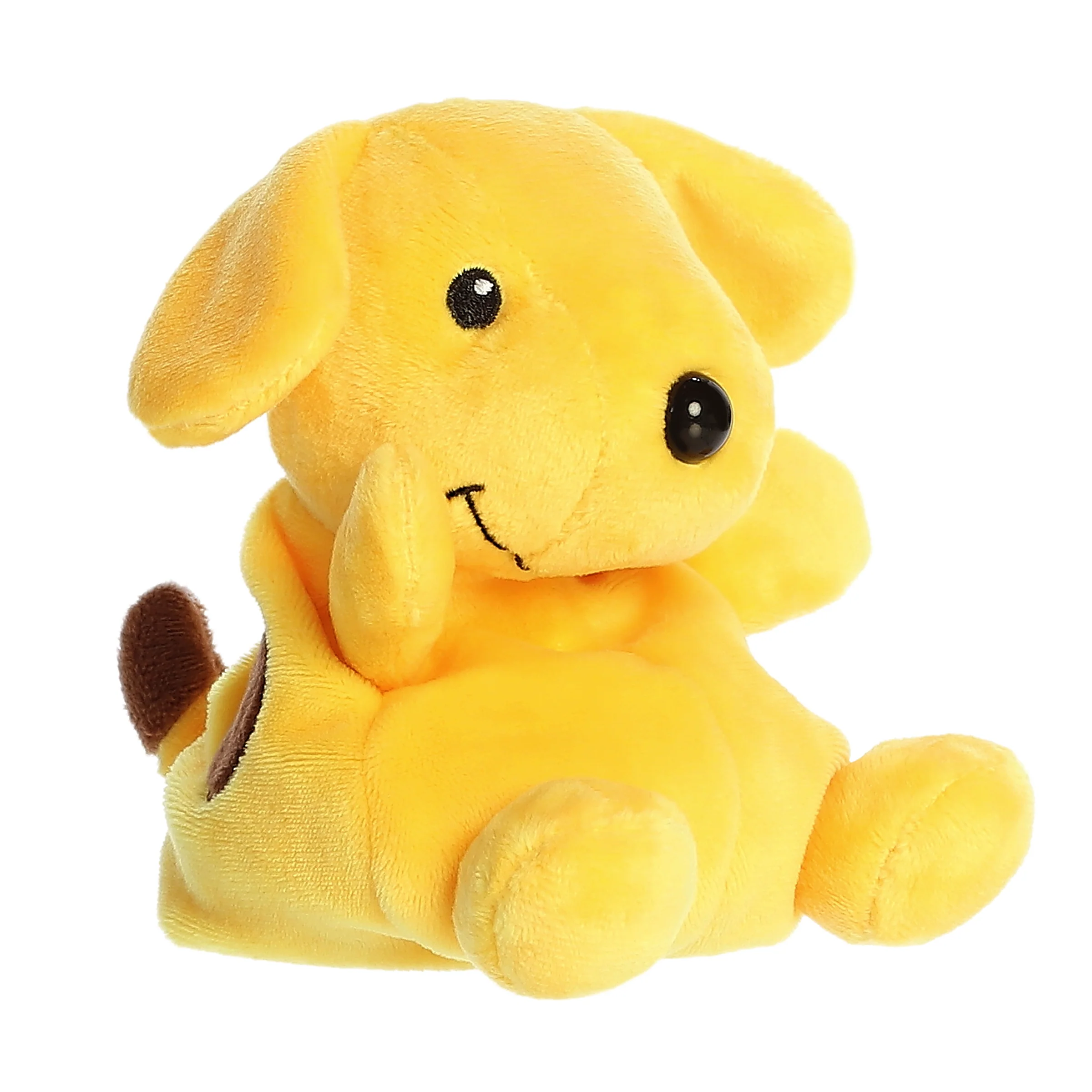 Aurora 5" SPOT Palm Pals