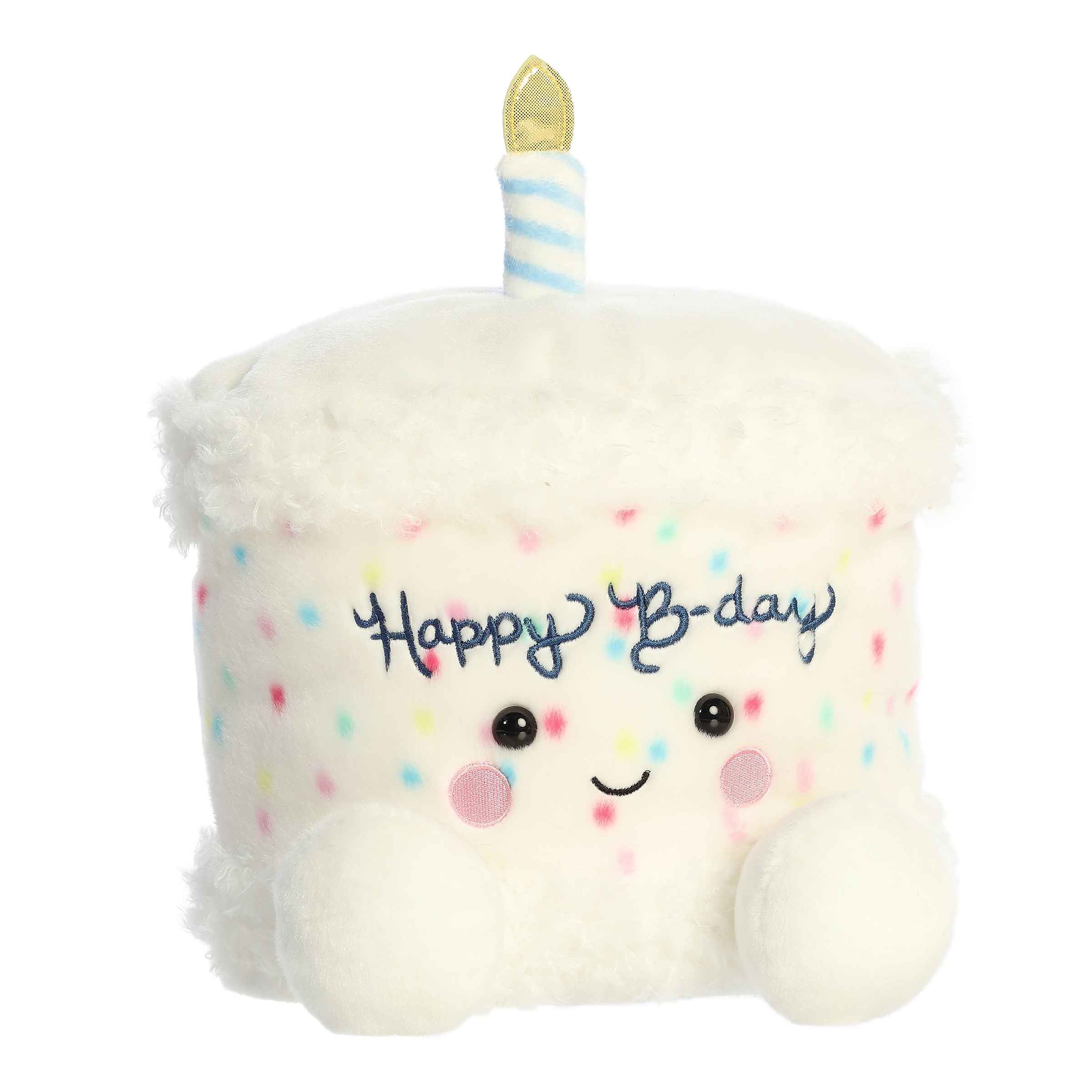 Aurora 8" HAPPY B'DAY CAKE