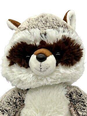 11.5" ROCKY RACCOON